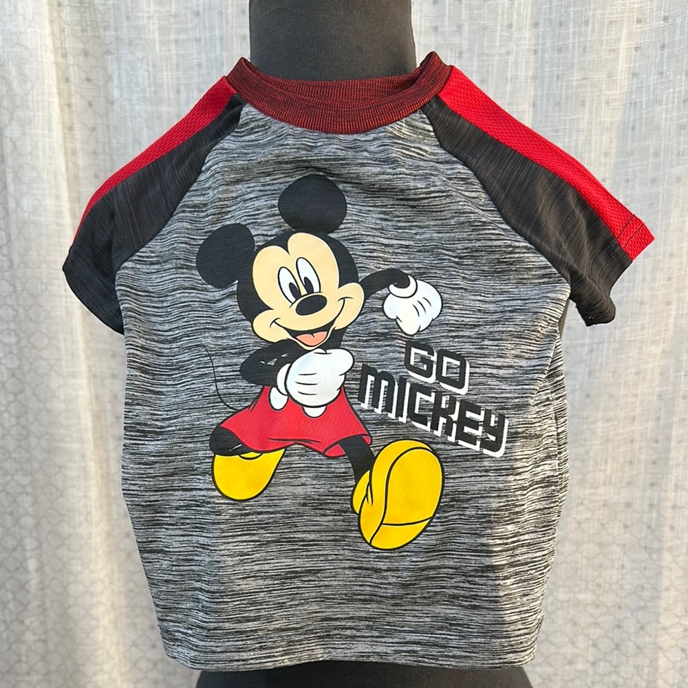 Disney Mickey Mouse Kids Raglan Shirt - Gray and Red
